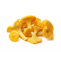 Champignon Chanterelle