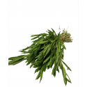 Herbe aromatique Sarriette