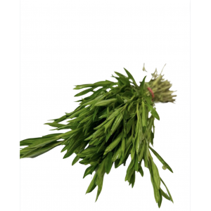 Herbe aromatique Sarriette