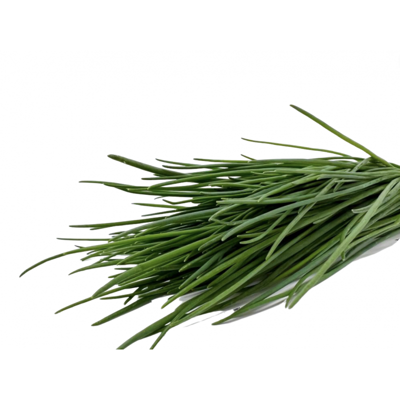 Herbe aromatique ciboulette